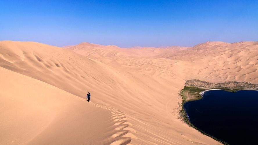 最新版沙漠潜行者下载，避免踩坑的实用指南