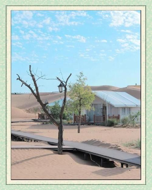 最新版沙漠潜行者下载，避免踩坑的实用指南