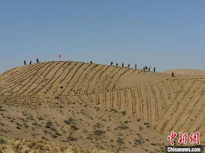 最新版沙漠潜行者下载，避免踩坑的实用指南