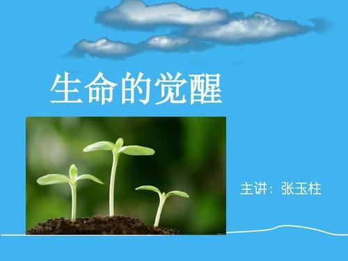最新版生命竞赛官方正式版下载：策略与休闲的完美结合