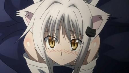 最新猫娘更新地址分享,不容错过! 最新猫娘更新地址分享,不容错过!