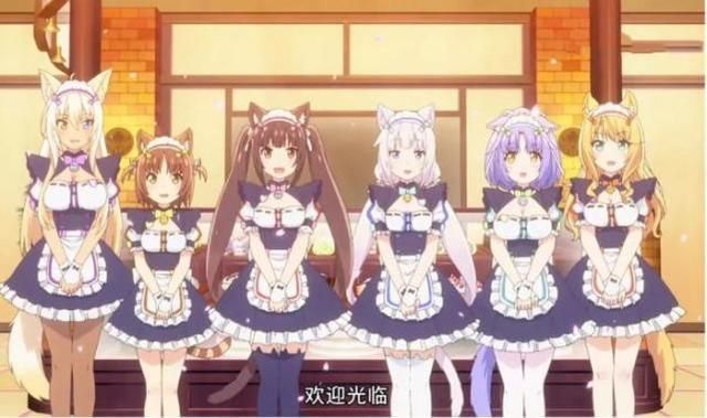 最新猫娘游戏及资讯都在猫娘官方网站