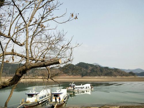 最新简单的日子汉化版下载：超简单操作步骤