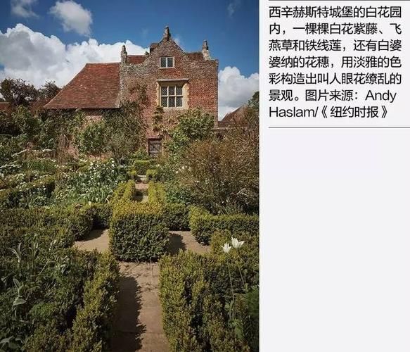 最新精英花园下载链接分享,告别失效链接! 最新精英花园下载链接分享,告别失效链接!