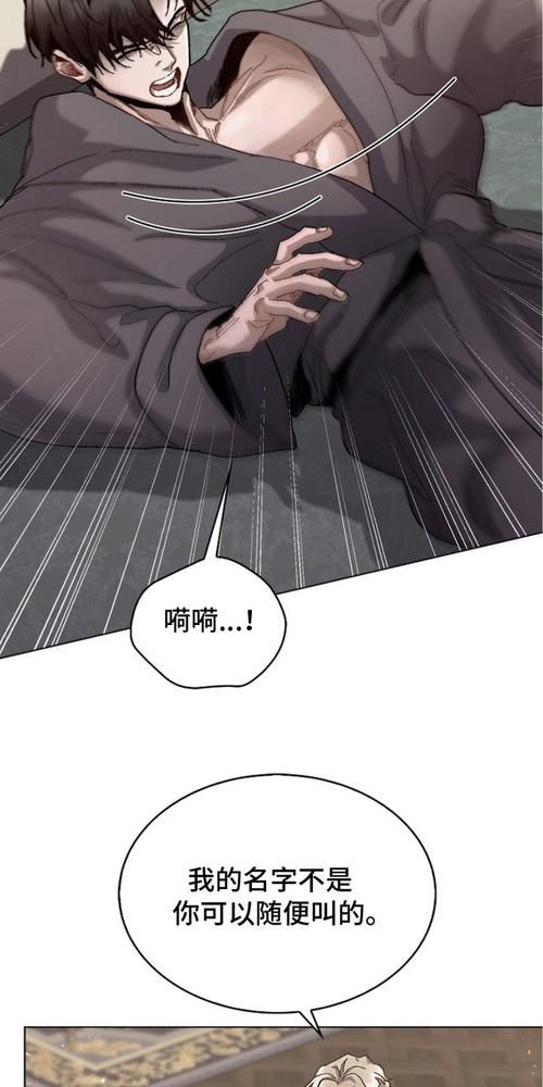 权力的代价版本大全：漫画全集在线观看