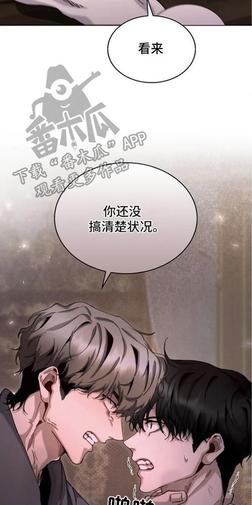 权力的代价版本大全：漫画全集在线观看