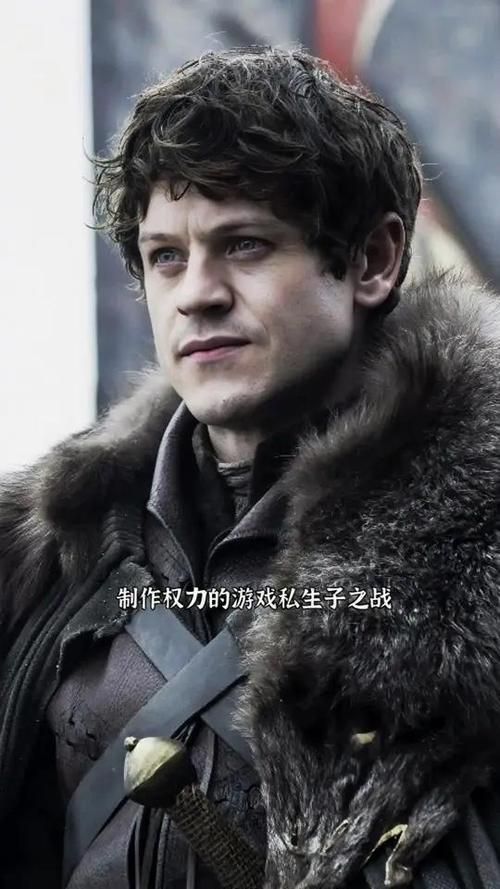 权力的代价绅士游戏：策略与权谋的极致碰撞