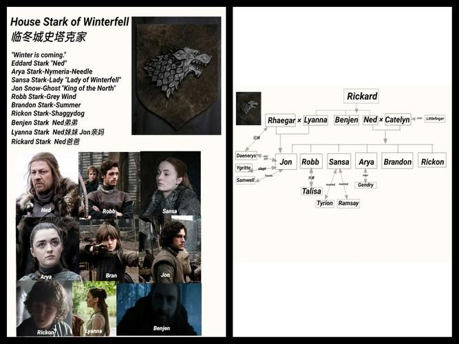 权力的欲望游戏介绍：权力的游戏深度解析