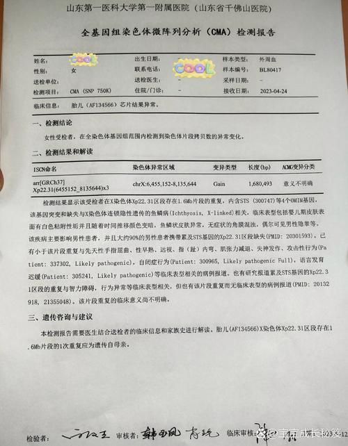 极度异常最新报告：事实真相，不容错过的关键信息