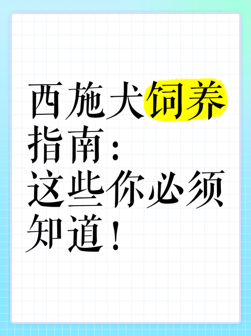 校长先生汉化版最新更新内容:你必须知道的改动 校长先生汉化版最新更新内容:你必须知道的改动
