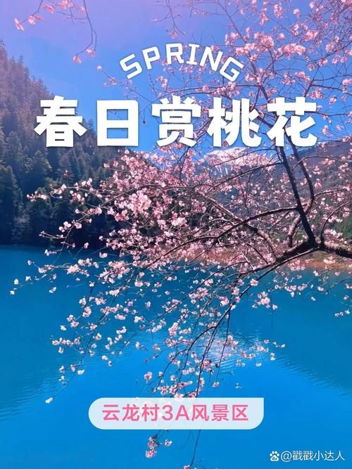 桃花境官方网站:玩家社区,交流互动平台 桃花境官方网站:玩家社区,交流互动平台