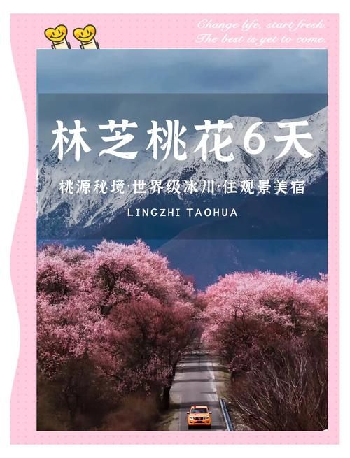 桃花境最新活动：线下体验开启，带你感受世外桃源仙境！