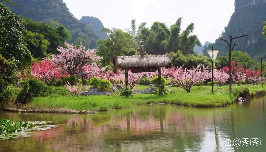 桃花境最新活动：线下体验开启，带你感受世外桃源仙境！