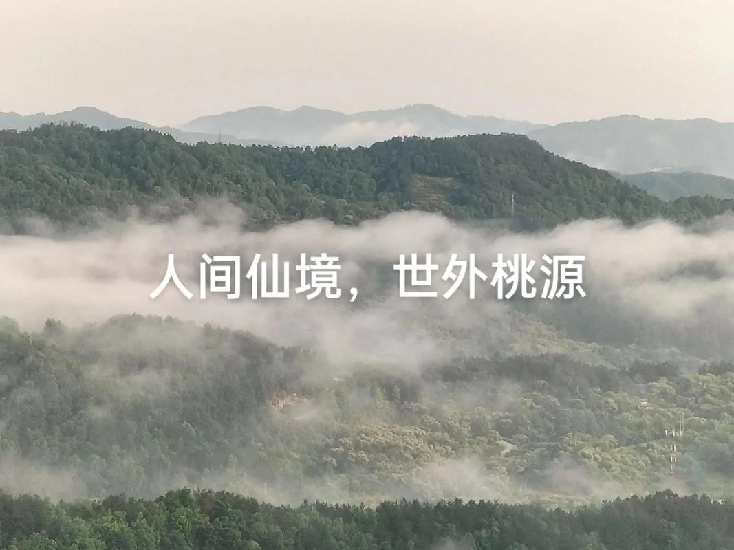 桃花境最新活动：线下体验开启，带你感受世外桃源仙境！