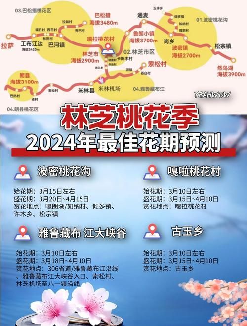 桃花境最新版本攻略大全：助你快速通关升级