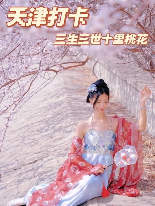 桃花境最新版本攻略大全：助你快速通关升级