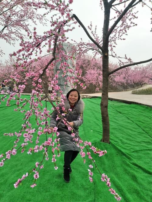 桃花境最新版本攻略大全：助你快速通关升级