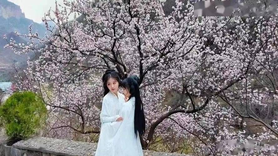 桃花境汉化版更新了什么？超多精彩内容等你体验！