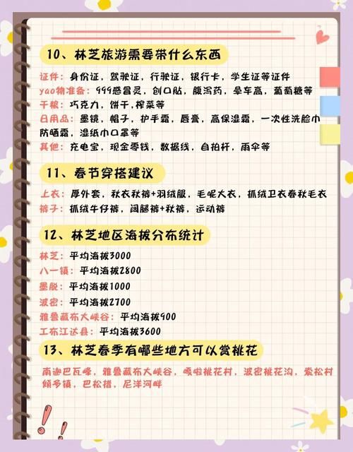 桃花境汉化版更新了什么？超多精彩内容等你体验！