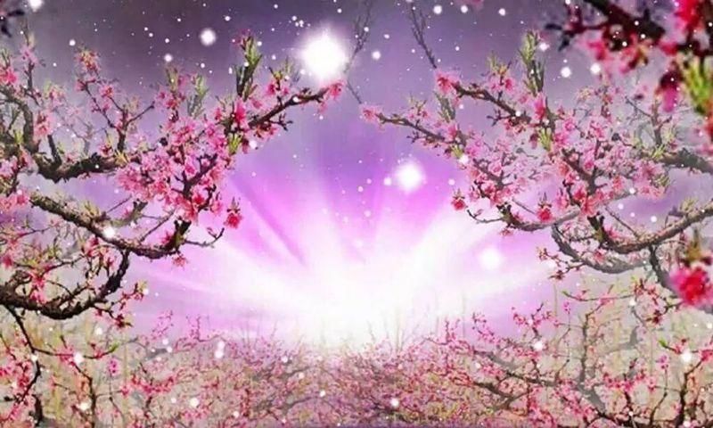 桃花境汉化版更新了什么？超多精彩内容等你体验！