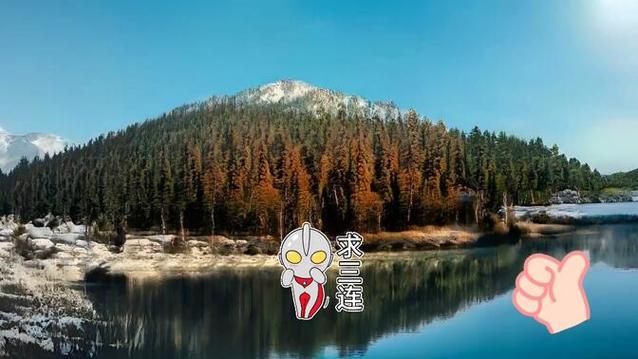 梅麻吕姐妹安卓游戏玩家社区:分享你的游戏体验 梅麻吕姐妹安卓游戏玩家社区:分享你的游戏体验