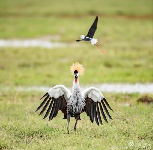 梅麻吕玛丽最新动态:你不可错过的精彩瞬间 梅麻吕玛丽最新动态:你不可错过的精彩瞬间