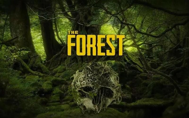 森林之子下载安卓版:荒岛生存手游免费下载 森林之子下载安卓版:荒岛生存手游免费下载