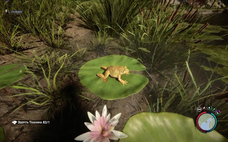 森林之子版本大全：下载地址及版本区别详解