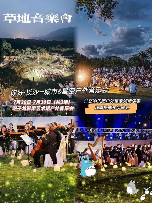 欲望交响曲安卓版下载：体验极致的音乐盛宴