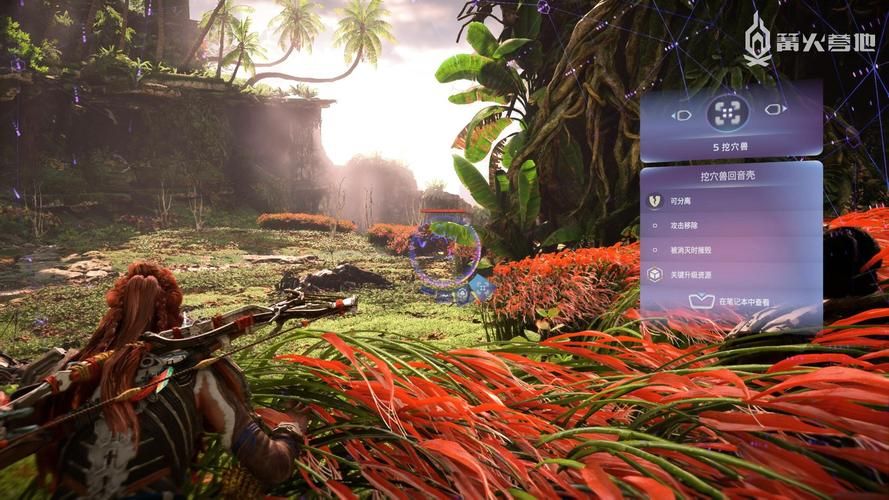 欲望回声游戏更新地址，高清资源，流畅体验，快来下载吧！