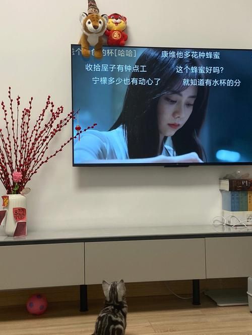 欲望学院第三季更新地址已出炉，快来一起追剧吧