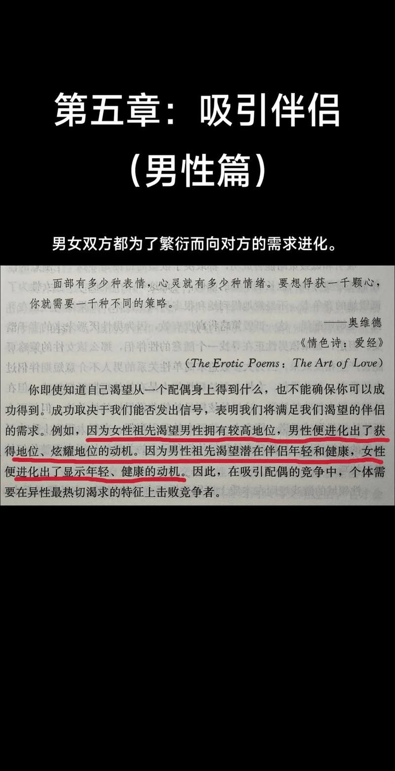 欲望理论第三季最新解读：深度剖析人物命运与欲望