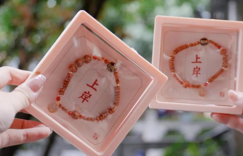 母上攻略5重置版游戏介绍：体验全新养成冒险之旅