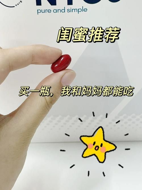 母上攻略5重置版版本大全：你想要的版本都在这里