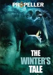 永恒的王国游戏攻略：轻松上手，玩转王国霸主之路