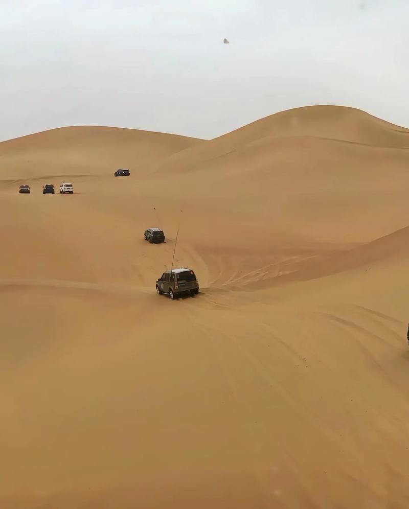 沙漠追猎者：开放世界沙海冒险，等你来探索！