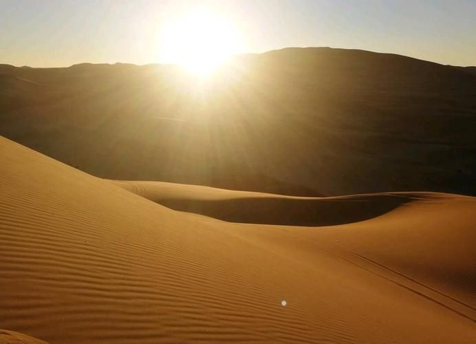 沙漠追猎者：开放世界沙海冒险，等你来探索！