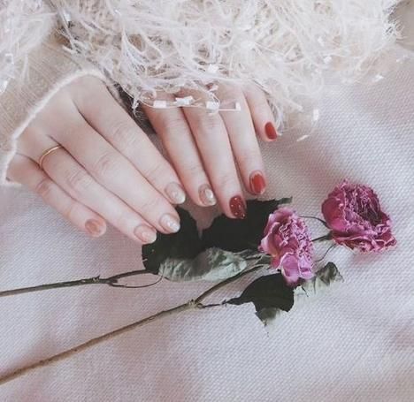 淑女广场下载地址汇总：避免下载到病毒或错误版本