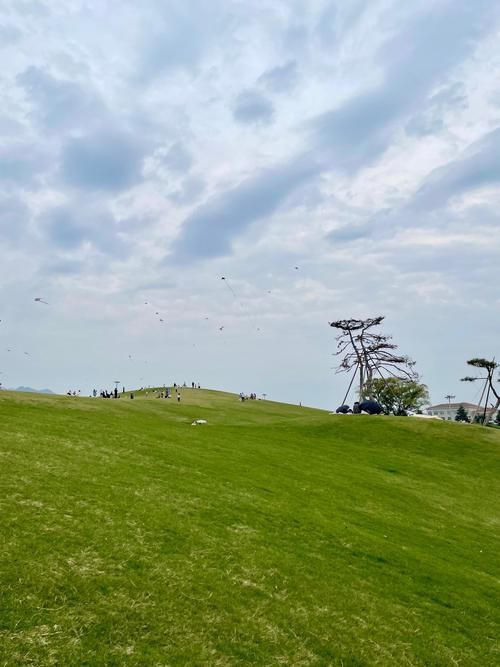 深入了解青青草原版本大全，带你体验不一样的乐趣！