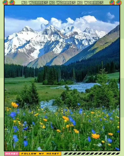 深入了解青青草原版本大全，带你体验不一样的乐趣！