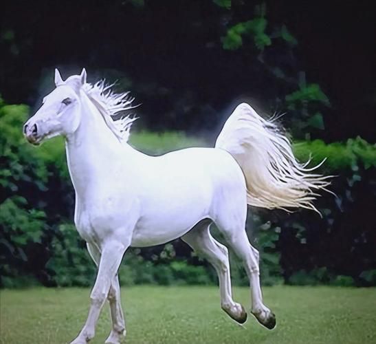 深入体验种马V0.11：别被名字误导，它很好玩