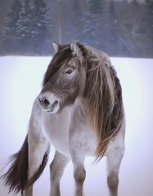 深入体验种马V0.11：别被名字误导，它很好玩