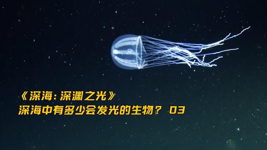 深渊学校官网地址：进入奇幻深海学校世界