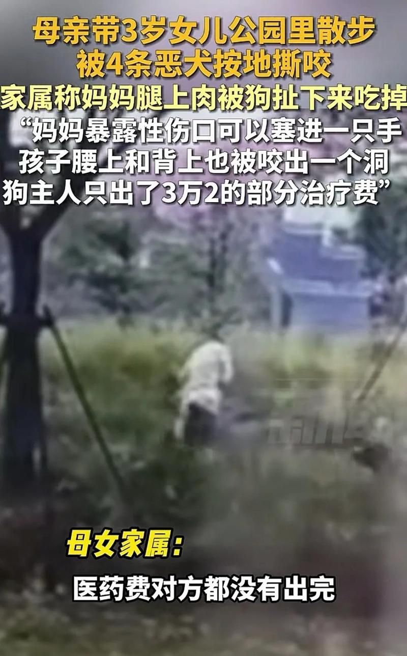 激情公园最新进展：公园回应不雅视频事件，网友热议不断！