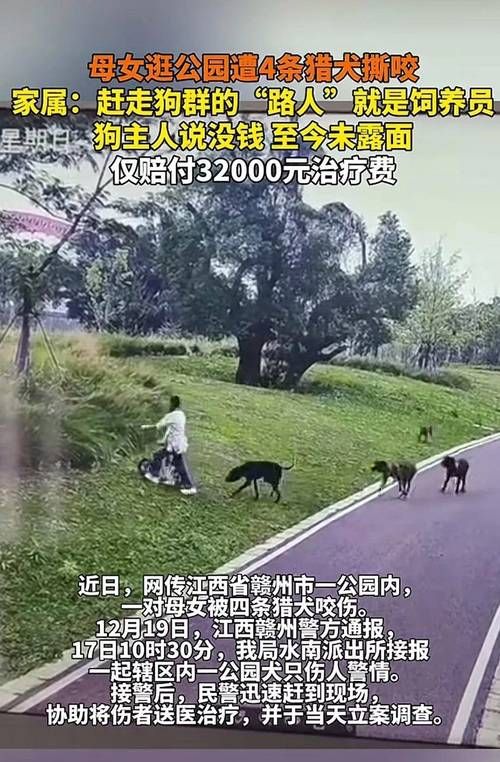 激情公园最新进展：公园回应不雅视频事件，网友热议不断！