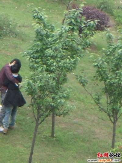 激情公园版本大全：完整版资源分享！