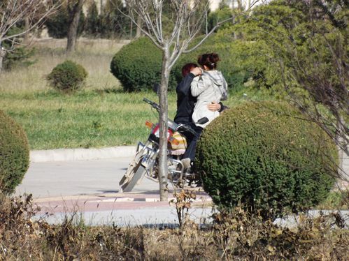 激情公园版本大全：完整版资源分享！