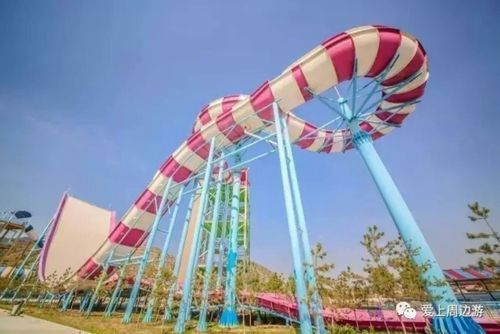 激情公园版本大全：完整版资源分享！