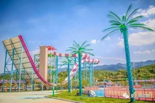 激情公园版本大全：完整版资源分享！