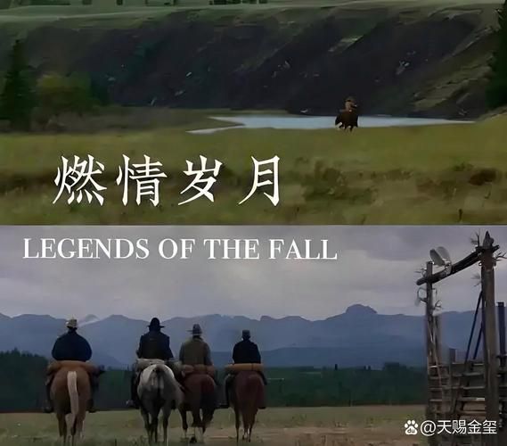 激情燃烧的岁月下载地址:哪里可以免费下载? 激情燃烧的岁月下载地址:哪里可以免费下载?